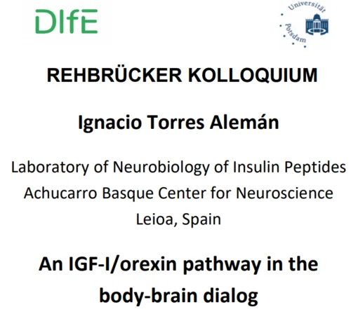 Announcement for the lecture of Ignacio Torres Alemán on the 24.03.2021, 13:00. Topic: An IGF-1/orexin pathway in the body-brain dialog