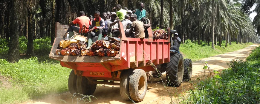Arbeiter in Kamerun