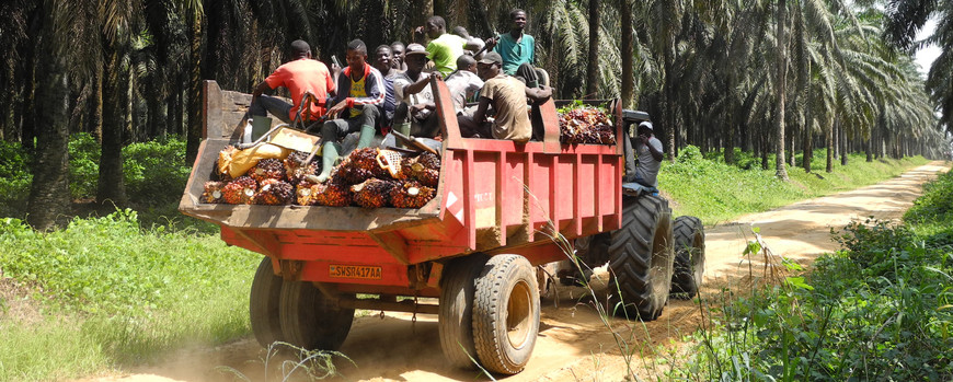 Arbeiter in Kamerun