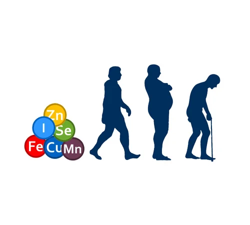 Trace Elements in Humans