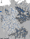 Deutschlandkarte mit den Pegeln entlang der untersuchten Flüsse mit ihren Einzugsgebieten und Flussauen