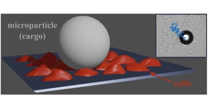 comic of cells in action