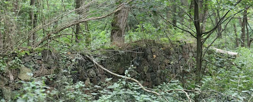 Einfriedung Jüdischer Friedhof Boleszkowice