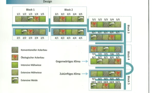 Research Graphic: Experimental Design of GCEF