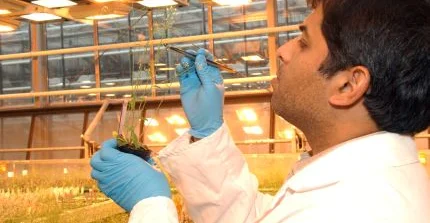 Studierende im Labor bei der Arbeit