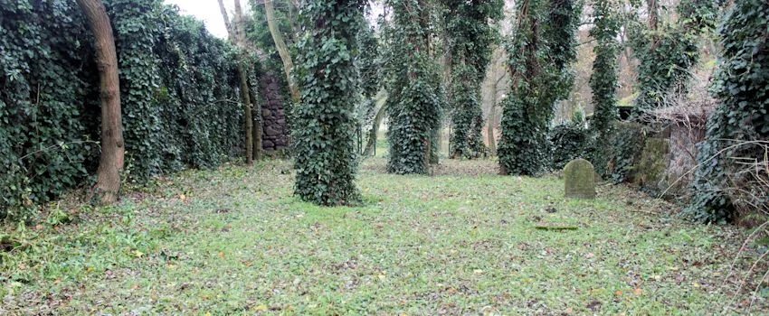 Blick auf den jüdischen Friedhof in Moryń von seiner östlichen Begrenzung