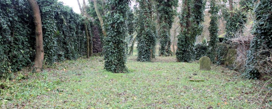 Blick auf den jüdischen Friedhof in Moryń von seiner östlichen Begrenzung