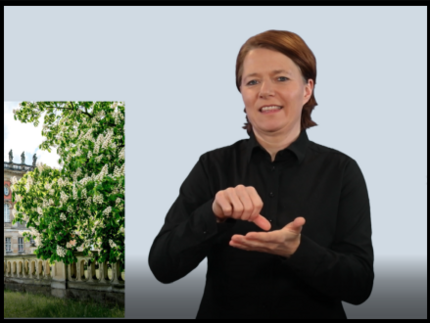 Eine Frau spricht Gebärden-Sprache mit den Händen.