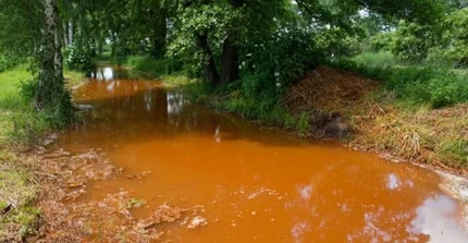 In-situ Überwachung und Modellierung einer reaktiven Wand zur Reduzierung der Eisenkonzentration im Grundwasser unter Laborbedingungen