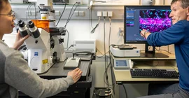 Prof. Dr. Salim Seyfried and doctoral student Van-Cuong Pham in the lab.