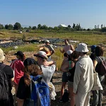 Studierende an Ausgrabungsstätte in praller Sonne.
