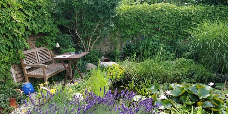 Garten mit Holzbank und Holztisch. Drumherum eine Mauer und sehr viele Pflanzen