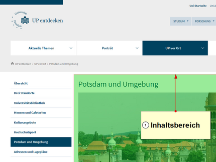 Farblich hervorgehobene Darstellung des Inhaltsbereichs einer Webseite.