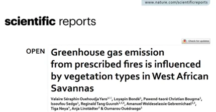 scientific report graphic