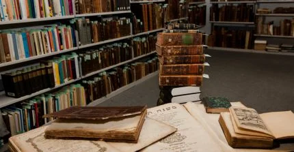 Ausschnitt Bibliothek