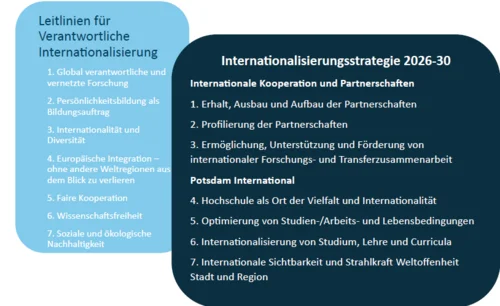 Schaubild