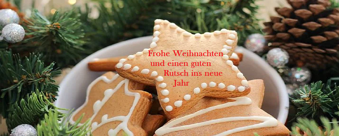 Christmas cookies and festive decoration - 