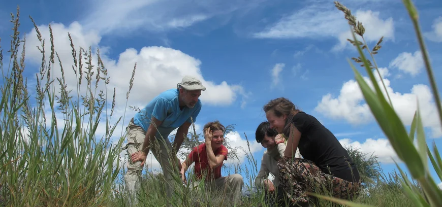 Research team in a Namibian grassland