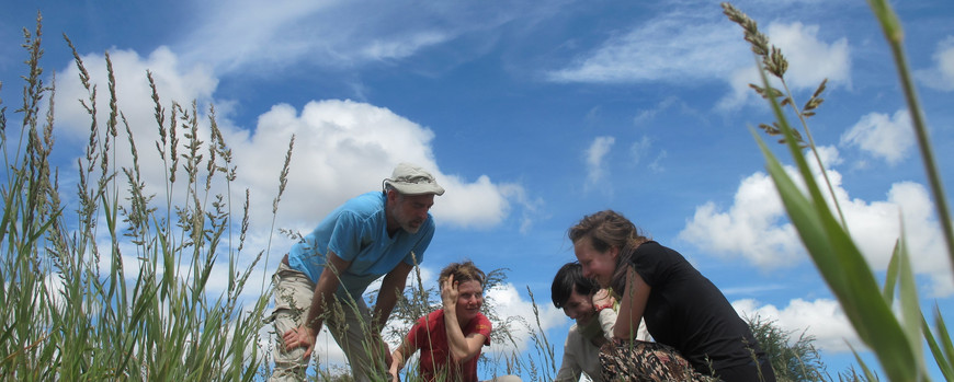 Research team in a Namibian grassland