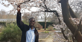 Botaniker und Kustos in Sansibar John Otieno Ndege im Botanischen Garten der Universität Potsdam unter einem Kirschbaum.