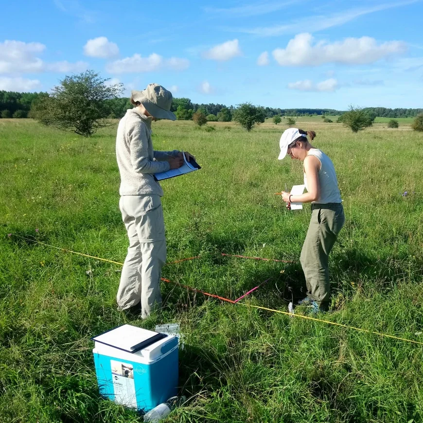 at work in the grassland / field