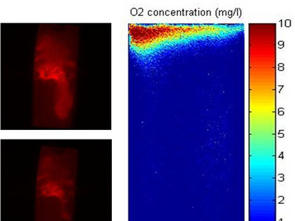 High-resolution imaging in aggregated soils: Dynamics of oxygen, pH and water content induced interfaces