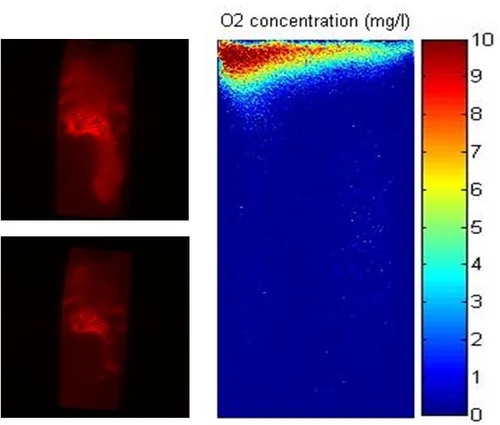 High-resolution imaging in aggregated soils: Dynamics of oxygen, pH and water content induced interfaces
