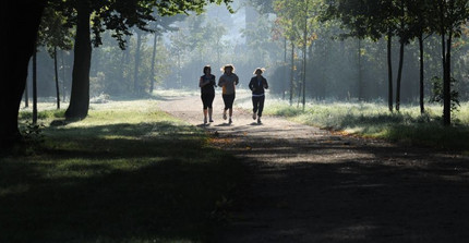 Läufer im Park Sanssouci