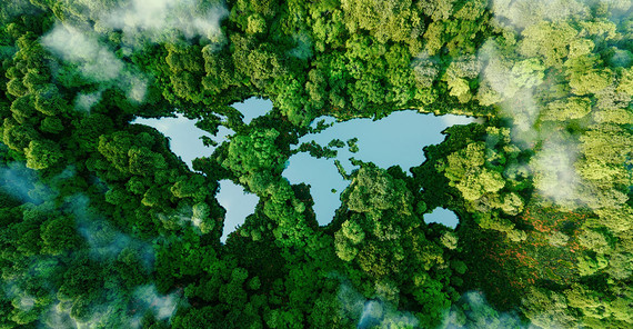 Aerial view of a lake in the forest.