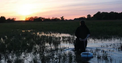 Studentin mit Amphibienreuse in überfluteter Havelaue bei Sonnenuntergang
