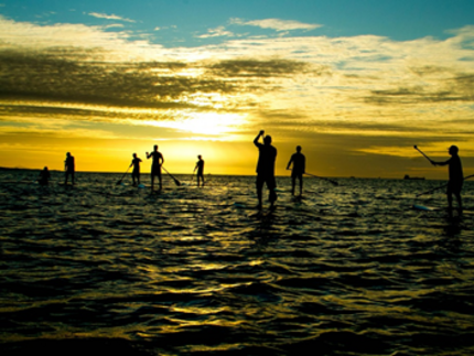 Stand up paddlers in the sunset