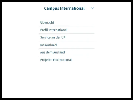 Das ist der Bereich „International“. Der Bereich im Bild ist aufgeklappt.