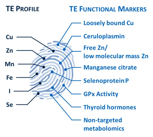 Trace Elements Profile