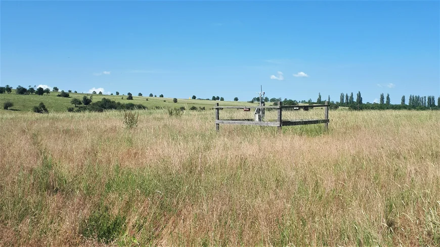 a grassland with an experimental setup