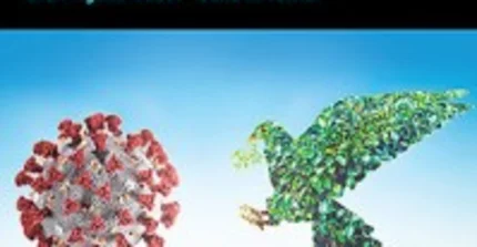 Cover: Handbook of Research Methods in Public Administration