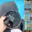 Eine Collage von Zwei Bildern. Das linke zeigt eine frisch geschlüpfte Wasserschildkröte in einer Schale Wasser kurz vor der Auswilderung im Meer. Das zweite zeigt eine Informationstafel, die den Lebenskreislauf einer Schildkröte beschreibt.