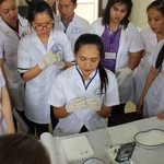 Filling the haematocrit capillary