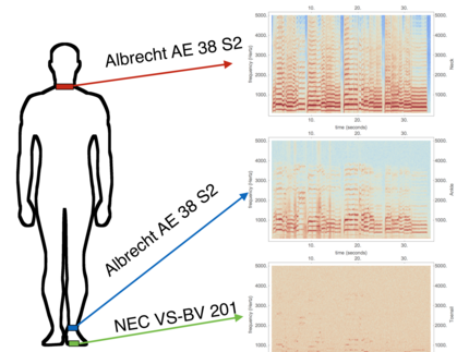 Recordings of body vibrations using larynx microphones. Shown are three spectrograms for recrordings from different parts of the body.