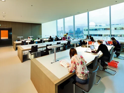 Studierende in der Bibliothek Golm