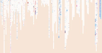 Ausschnitt aus der Visualisierung der Handbibliothek