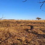 Blick auf die Wiese um die Station im Frühjahr. Das trockene Gras und ein kleiner Baum ohne Blätter erwecken einen savannenartigen Eindruck.