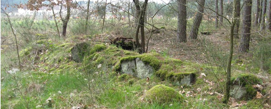 Reste der Mauer des Jüdischen Friedhofs in Brójce