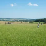 fieldwork in grassland