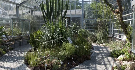 Sukkulentenhaus im Botanischen Garten