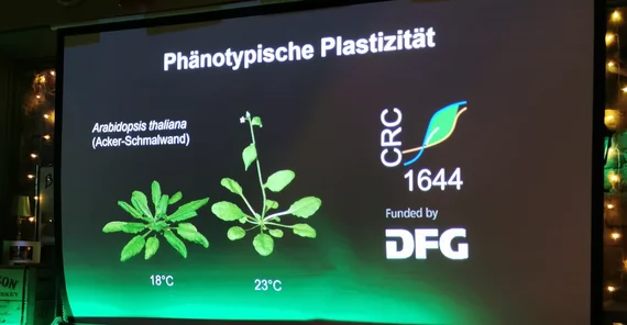Presentation slide Phenotypic Plasticity