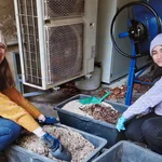 scientists at work