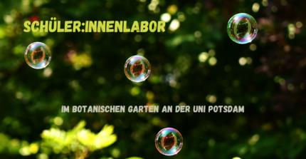 Vier Seifenblasen, dazwischen Text: "Schüler:innenlabor im Botanischen Garten der Uni Potsdam"