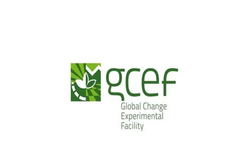 The GCEF Logo