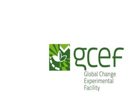 The GCEF Logo