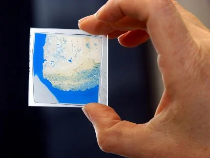thin section
